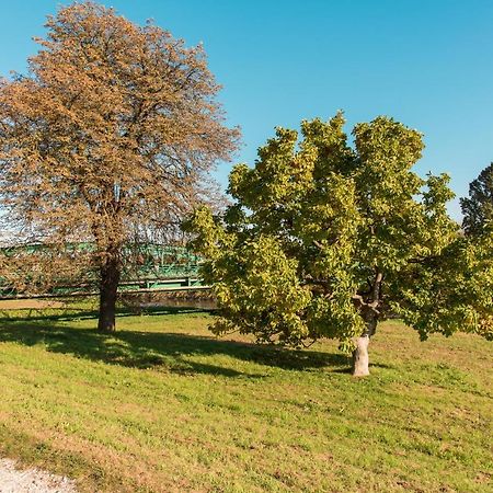 Halaszcsarda-Panzio Hotel Körmend Buitenkant foto