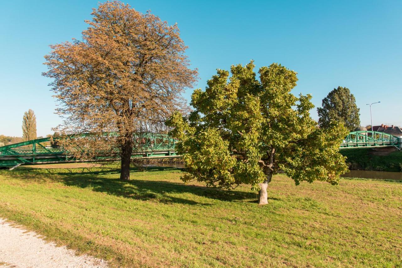 Halaszcsarda-Panzio Hotel Körmend Buitenkant foto